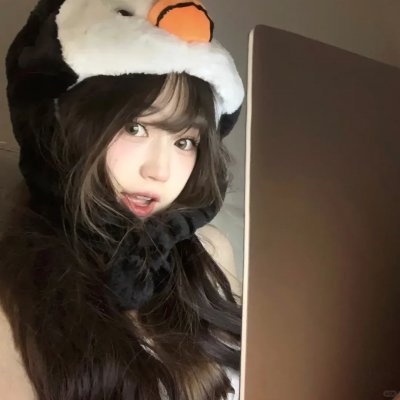 金毛喜迎冬